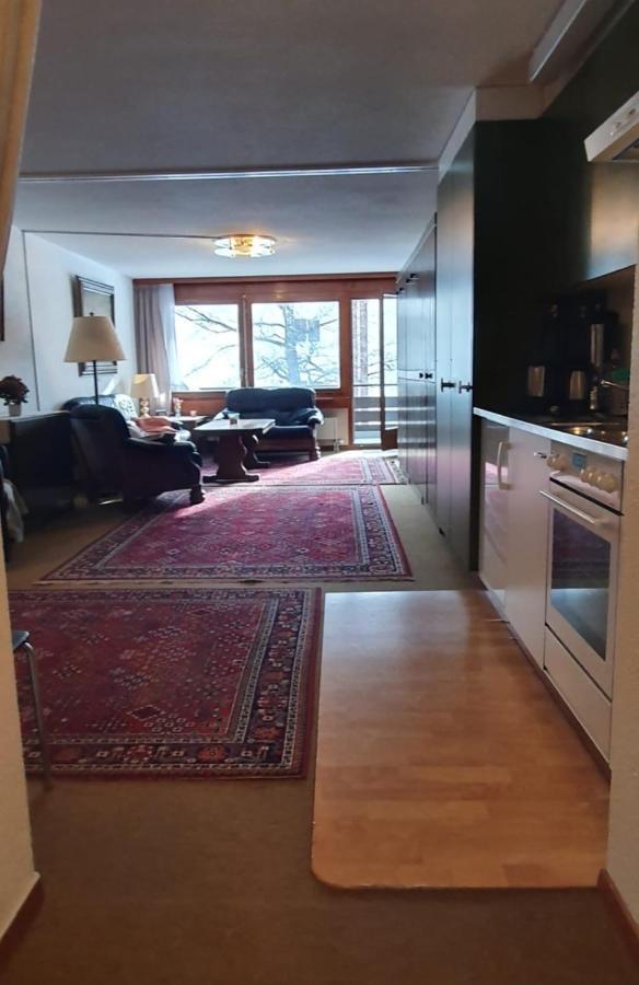 Appartement Hilburgs-Domizil à Zermatt Extérieur photo